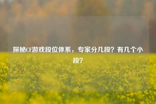 探秘CF游戏段位体系,专家分几段?有几个小段?