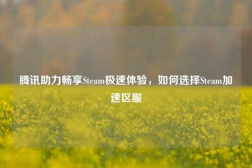 腾讯助力畅享Steam极速体验,如何选择Steam加速区服