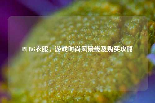 PUBG衣服,游戏时尚风景线及购买攻略