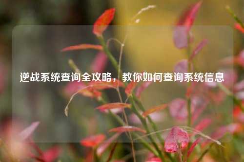 逆战系统查询全攻略,教你如何查询系统信息