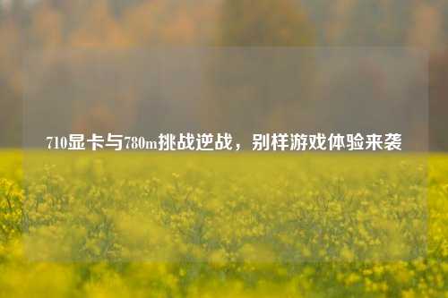 710显卡与780m挑战逆战,别样游戏体验来袭