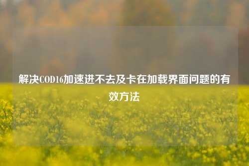 解决COD16加速进不去及卡在加载界面问题的有效方法