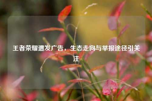 王者荣耀遭发广告,生态走向与举报途径引关注