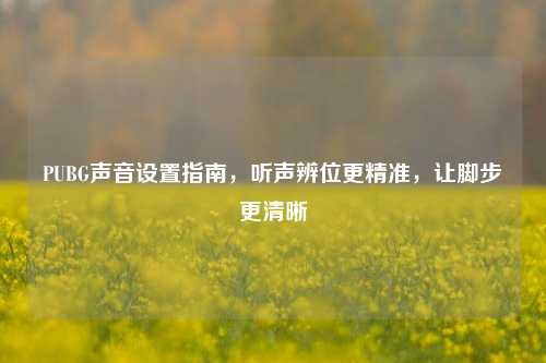PUBG声音设置指南,听声辨位更精准,让脚步更清晰