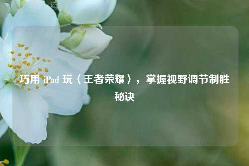 巧用 iPad 玩〈王者荣耀〉,掌握视野调节制胜秘诀