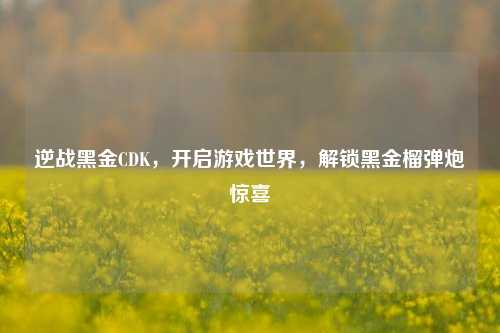 逆战黑金CDK,开启游戏世界,解锁黑金榴弹炮惊喜