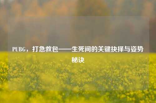 PUBG，打急救包——生死间的关键抉择与姿势秘诀