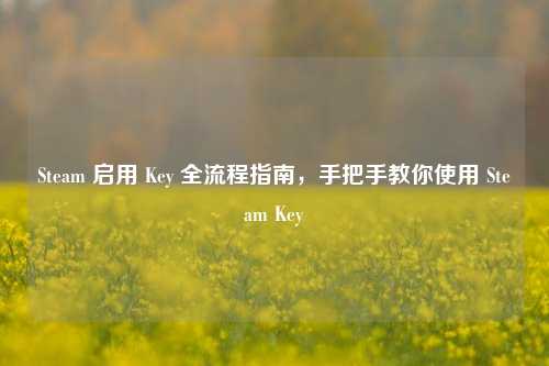 Steam 启用 Key 全流程指南，手把手教你使用 Steam Key
