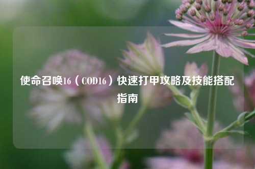 使命召唤16(COD16)快速打甲攻略及技能搭配指南