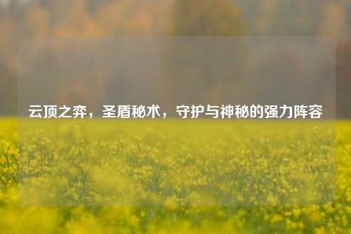 云顶之弈，圣盾秘术，守护与神秘的强力阵容