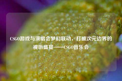 CSGO游戏与演唱会梦幻联动，打破次元边界的视听盛宴——CSGO音乐会
