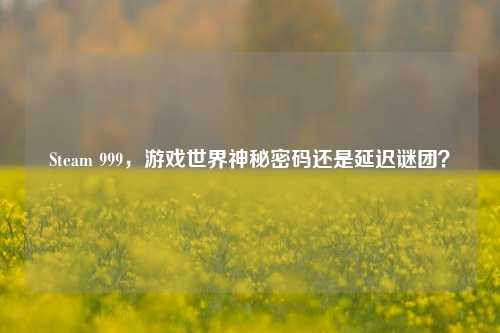 Steam 999，游戏世界神秘密码还是延迟谜团？
