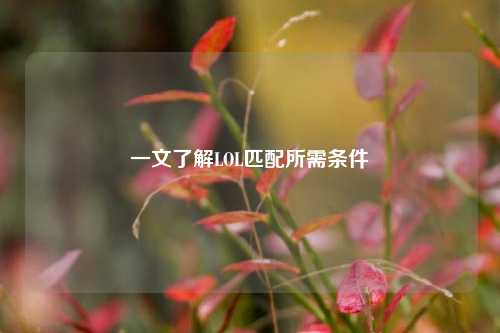 一文了解LOL匹配所需条件