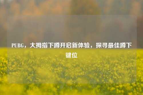 PUBG,大拇指下蹲开启新体验,探寻最佳蹲下键位