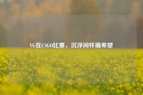 VG在CSGO比赛,沉浮间怀揣希望
