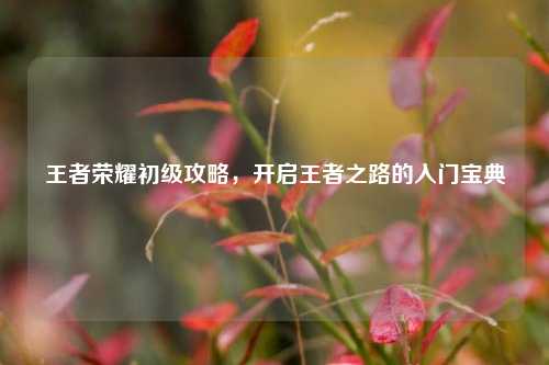 王者荣耀初级攻略,开启王者之路的入门宝典