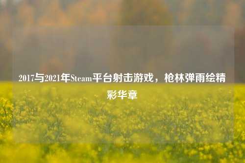 2017与2021年Steam平台射击游戏,枪林弹雨绘精彩华章