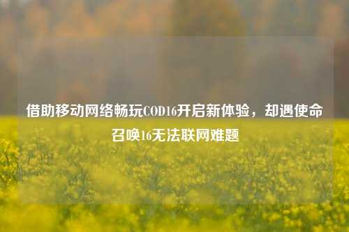 借助移动网络畅玩COD16开启新体验,却遇使命召唤16无法联网难题