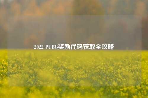 2022 PUBG奖励代码获取全攻略