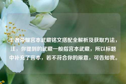 王者荣耀宫本武藏铭文搭配全解析及获取方法,注,你提到的武藏一般指宫本武藏,所以标题中补充了宫本,若不符合你的原意,可告知我。