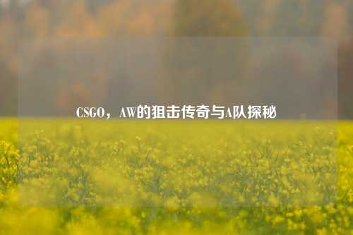 CSGO，AW的狙击传奇与A队探秘