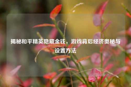 揭秘和平精英隐藏金钱,游戏背后经济奥秘与设置方法