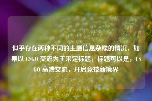 似乎存在两种不同的主题信息杂糅的情况，如果以 CSGO 交流为主来定标题，标题可以是，CSGO 高端交流，开启竞技新境界
