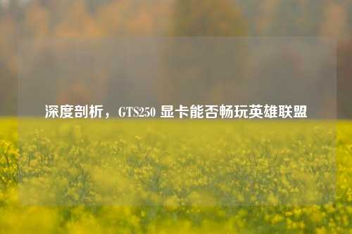 深度剖析，GTS250 显卡能否畅玩英雄联盟