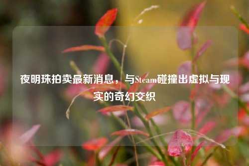 夜明珠拍卖最新消息,与Steam碰撞出虚拟与现实的奇幻交织