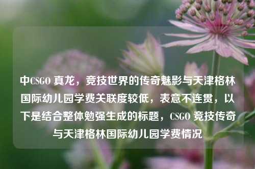 中CSGO 真龙,竞技世界的传奇魅影与天津格林国际幼儿园学费关联度较低,表意不连贯,以下是结合整体勉强生成的标题,CSGO 竞技传奇与天津格林国际幼儿园学费情况
