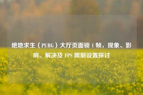 绝地求生(PUBG)大厅页面锁 1 帧,现象、影响、解决及 FPS 限制设置探讨