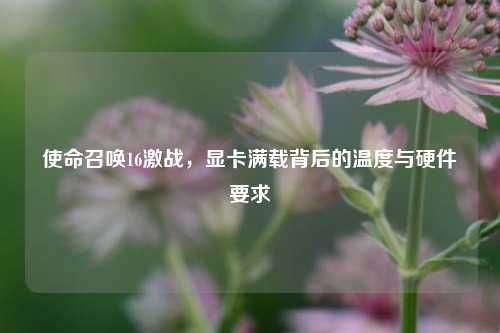 使命召唤16激战,显卡满载背后的温度与硬件要求