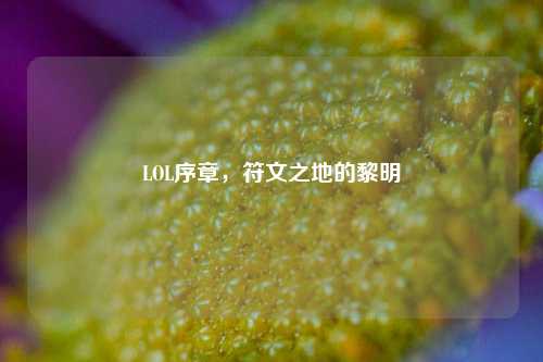 LOL序章，符文之地的黎明