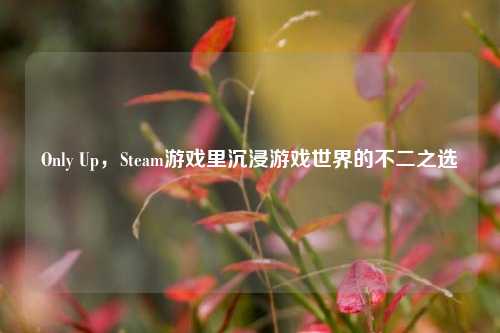 Only Up,Steam游戏里沉浸游戏世界的不二之选