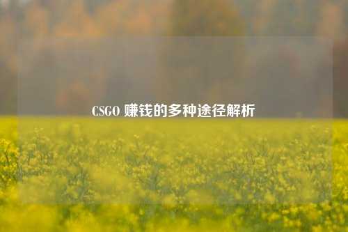 CSGO 赚钱的多种途径解析
