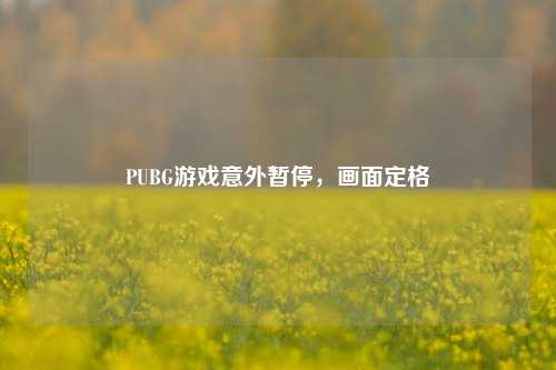 PUBG游戏意外暂停,画面定格