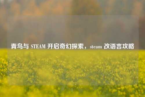青鸟与 STEAM 开启奇幻探索，steam 改语言攻略