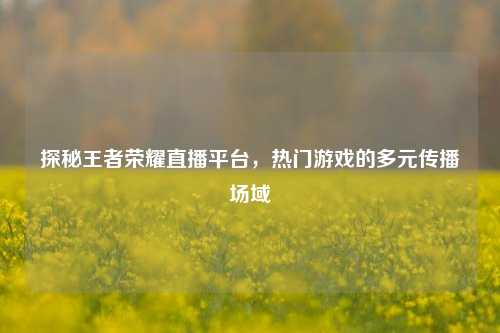 探秘王者荣耀直播平台,热门游戏的多元传播场域