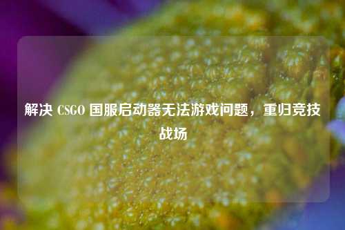 解决 CSGO 国服启动器无法游戏问题,重归竞技战场