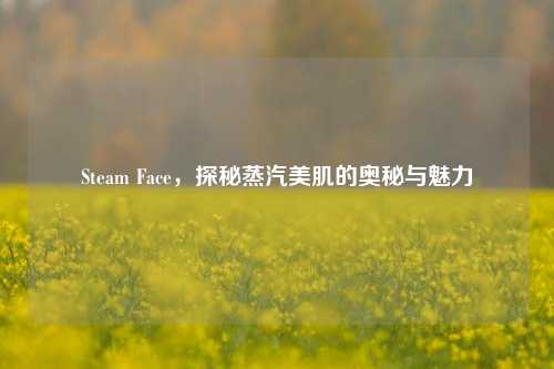 Steam Face,探秘蒸汽美肌的奥秘与魅力