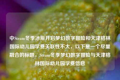中Steam冬季冰原开启梦幻数字冒险和天津格林国际幼儿园学费关联性不大,以下是一个尽量融合的标题,Steam冬季梦幻数字冒险与天津格林国际幼儿园学费信息