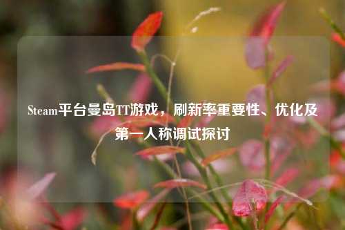 Steam平台曼岛TT游戏,刷新率重要性、优化及第一人称调试探讨