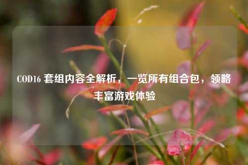 COD16 套组内容全解析,一览所有组合包,领略丰富游戏体验