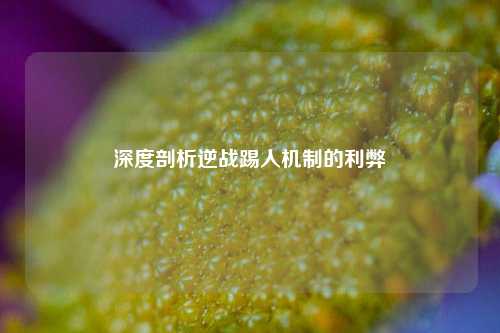深度剖析逆战踢人机制的利弊