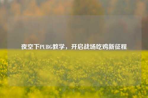 夜空下PUBG教学，开启战场吃鸡新征程