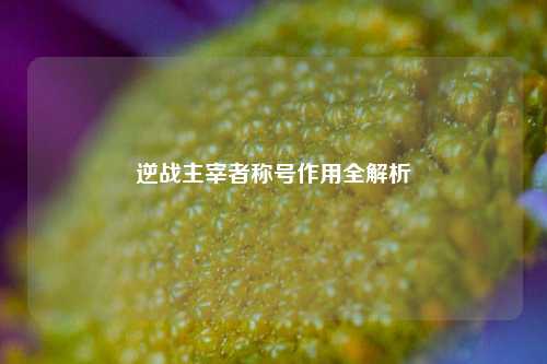 逆战主宰者称号作用全解析