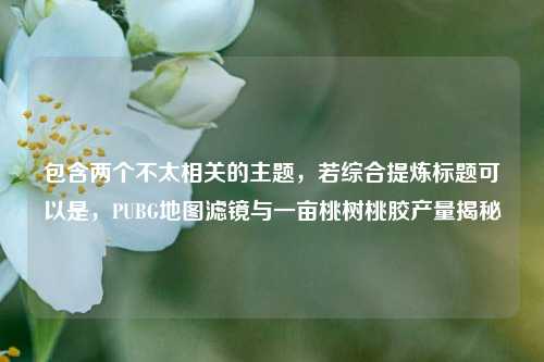 包含两个不太相关的主题,若综合提炼标题可以是,PUBG地图滤镜与一亩桃树桃胶产量揭秘