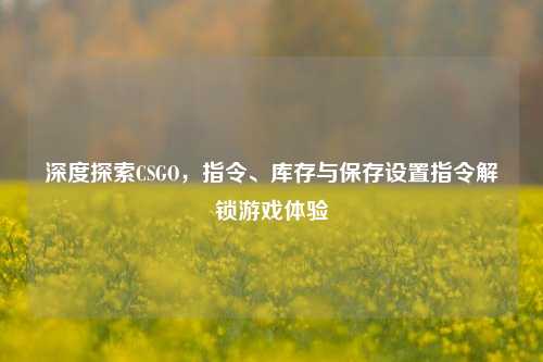 深度探索CSGO，指令、库存与保存设置指令解锁游戏体验
