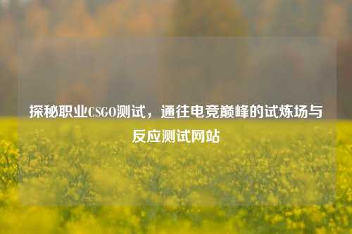 探秘职业CSGO测试,通往电竞巅峰的试炼场与反应测试网站