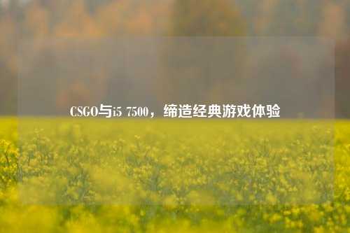 CSGO与i5 7500,缔造经典游戏体验